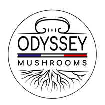 Odyssey Mushrooms