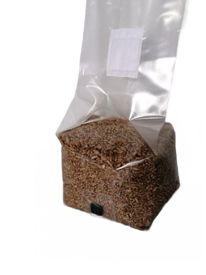 Sterilized rye bag with injection port