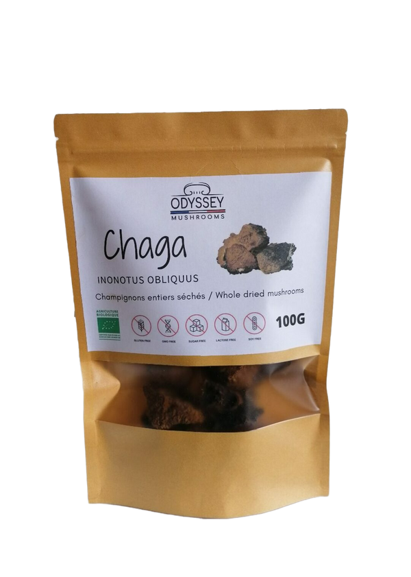 Dried Chaga
