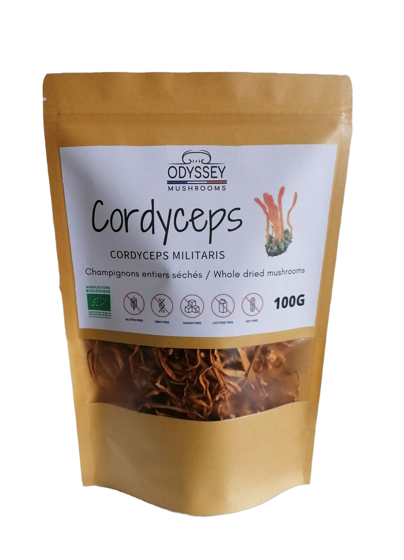 Dried Cordyceps